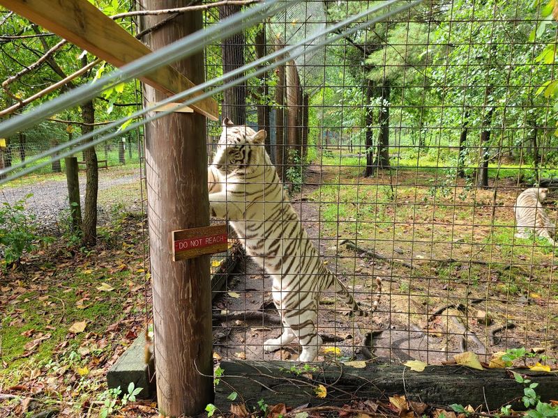 Guided Tours Led By People Who Actually Know These Animals