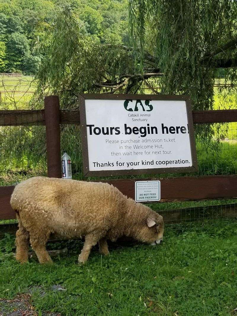 Guided Tours That Feel Like A Storytime Stroll
