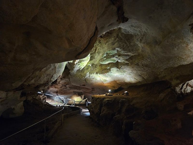 Guided Tours That Make The Underground Come Alive