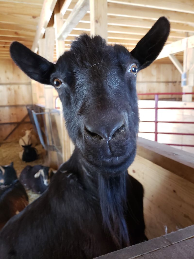 Guided Tours That Share Every Animal Story Guided Tours That Share Every Animal Story