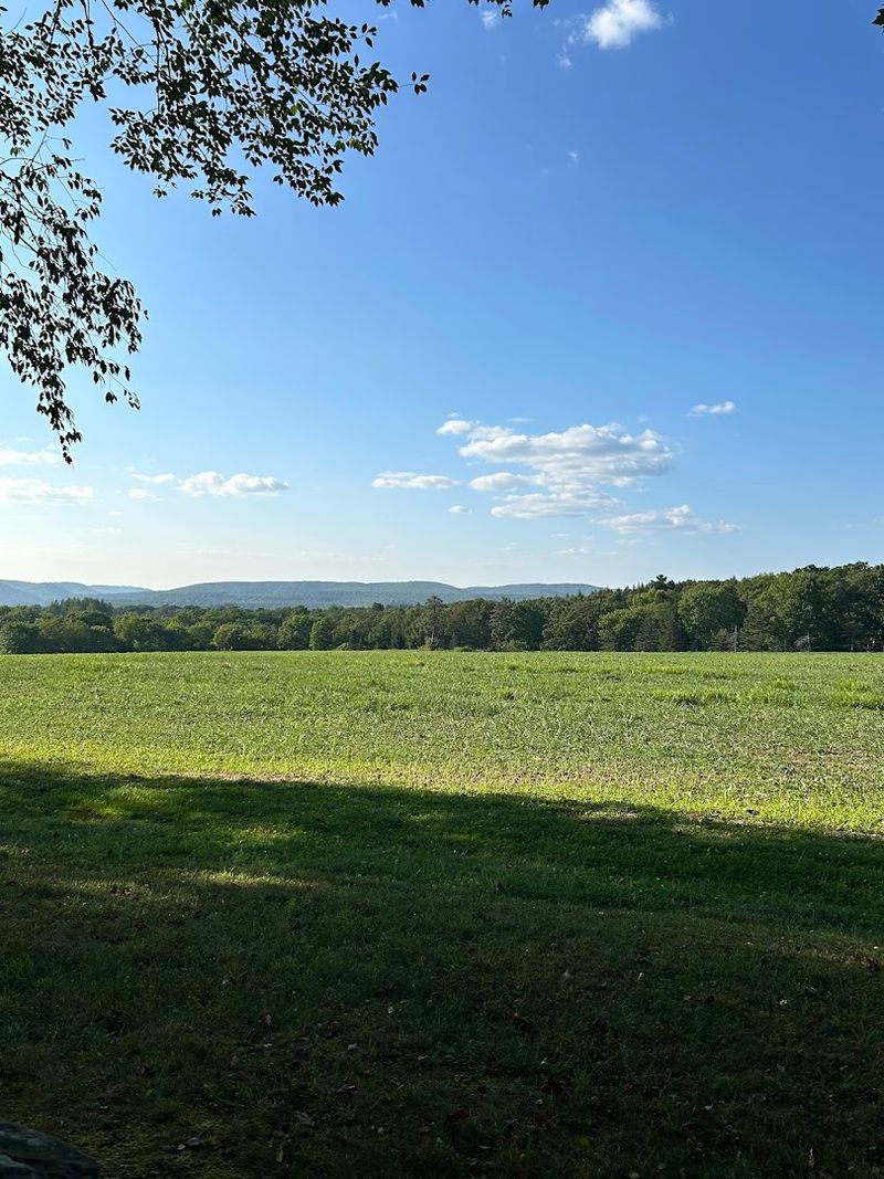 Multiple Viewing Areas Surround the Visitor Center