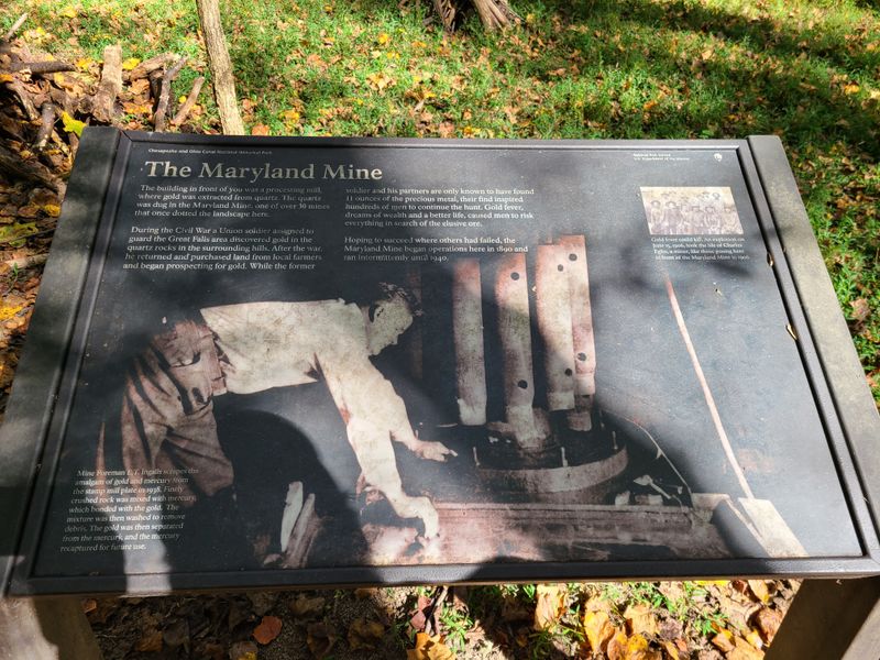 Gold Ore Veins in Natural State