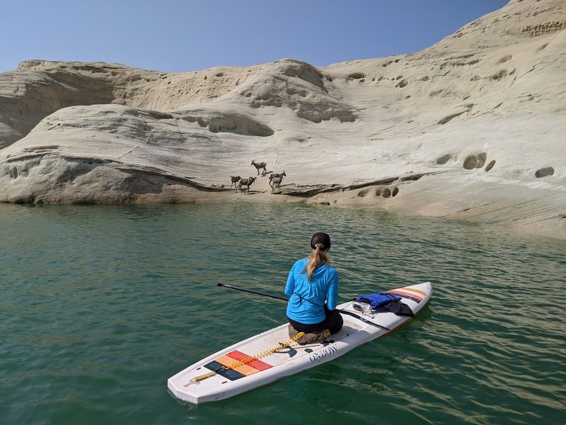 Guides Who Turn a Paddle Into a Story