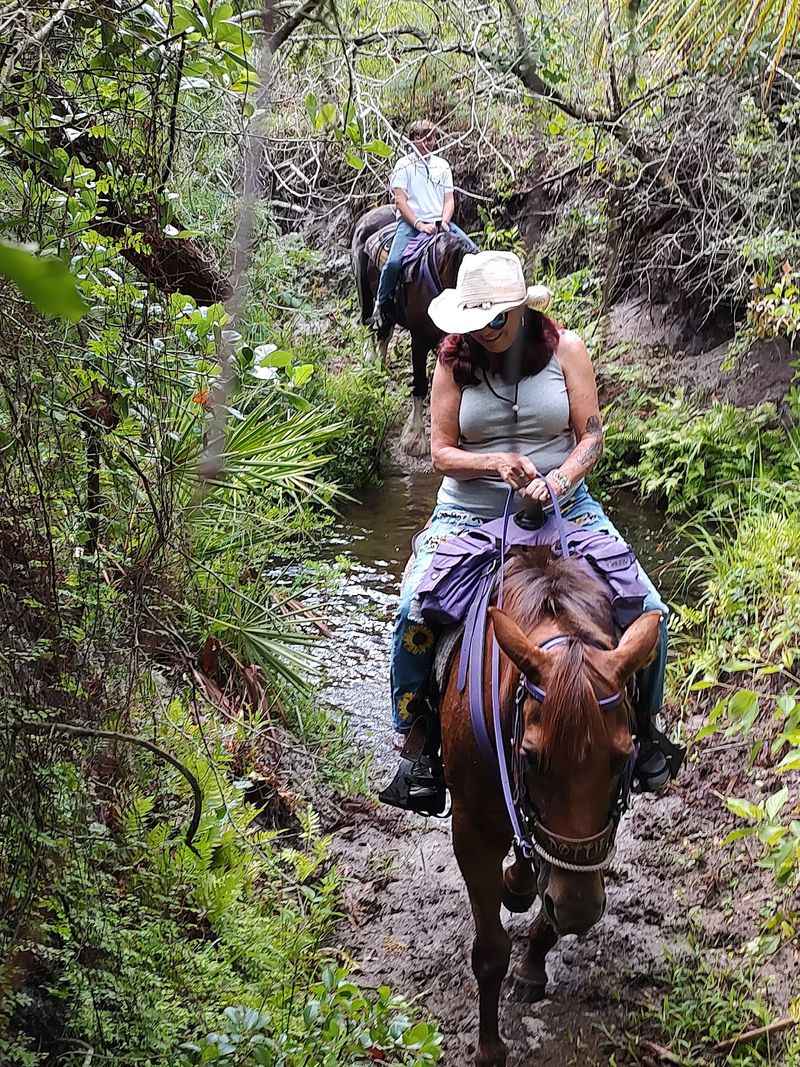 Gulf Coast Ponies, Myakka City