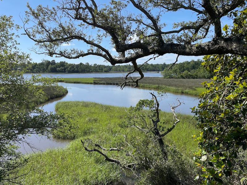 Gulf Islands National Seashore, Davis Bayou Area