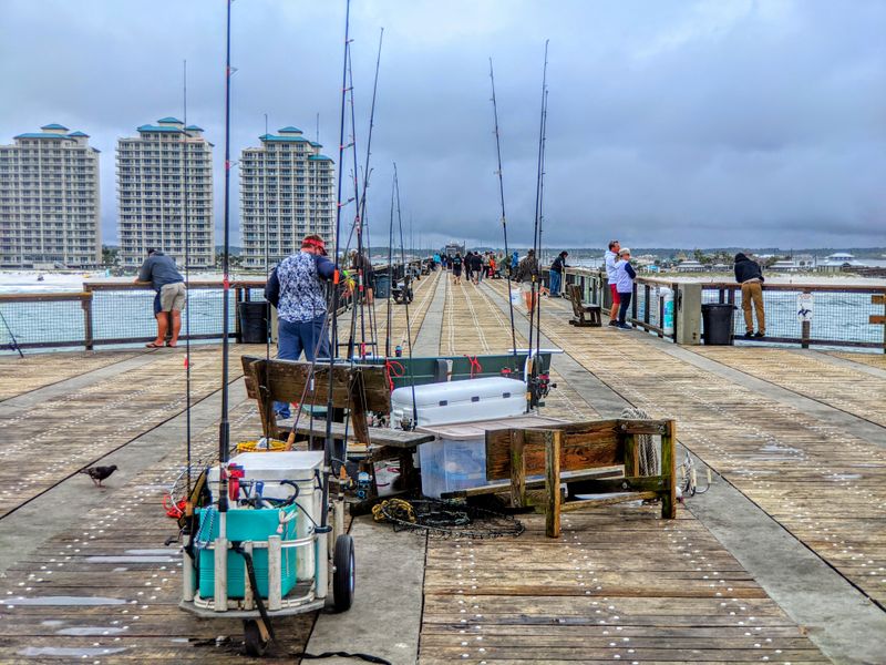 Family-Friendly Restaurants Serve Fresh Gulf Seafood Daily