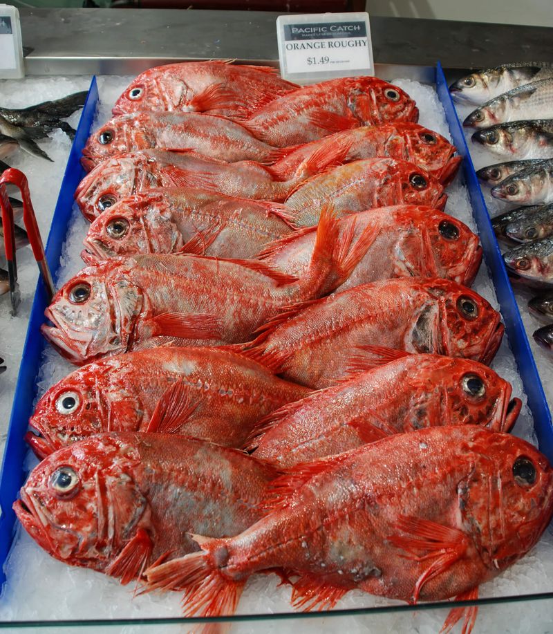 Orange Roughy: The Centenarian Fish