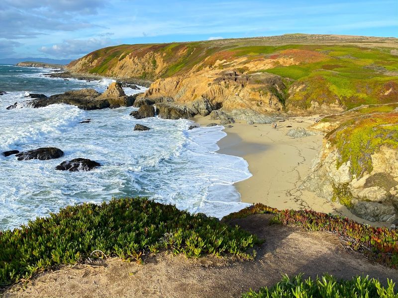 Bodega Head Trail