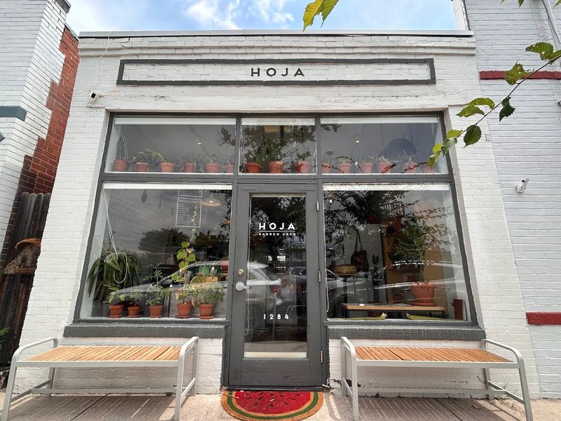 HOJA Is The Name Denver Keeps Coming Back To