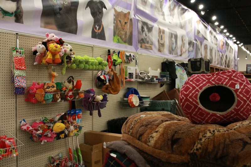 HSSA Thrift Store, Tucson