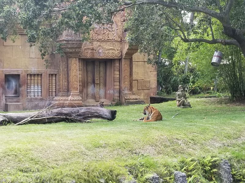 Habitats Without Bars Or Cages