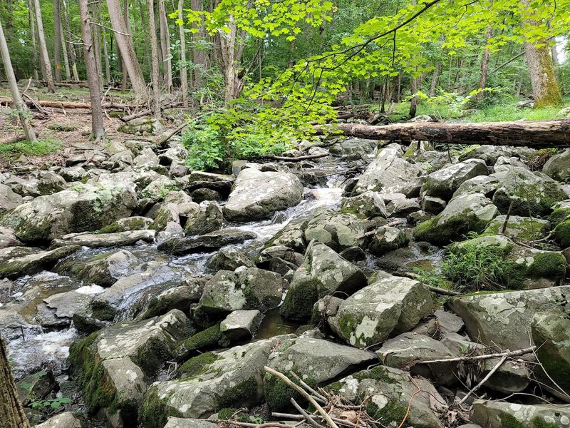 Ringing Rocks Park, Upper Black Eddy