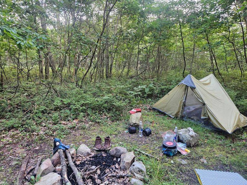 Pinchot Trail Primitive Campsites, Pinchot State Forest