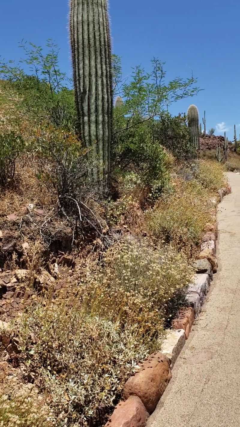 Half A Mile Of Pavement That Works Like A Stair Climber