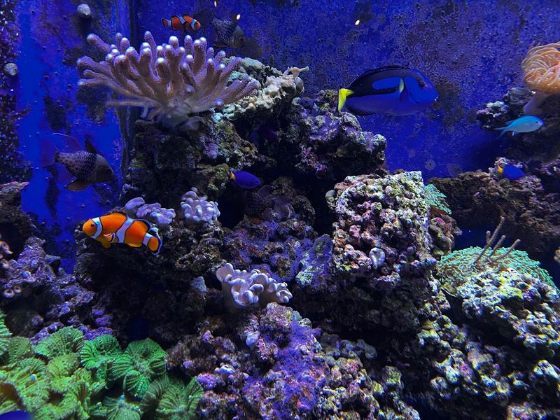 Hall Of Science With Live Animals Up Close