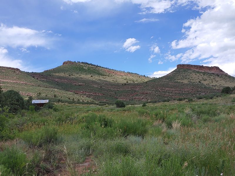 Hall Ranch Open Space
