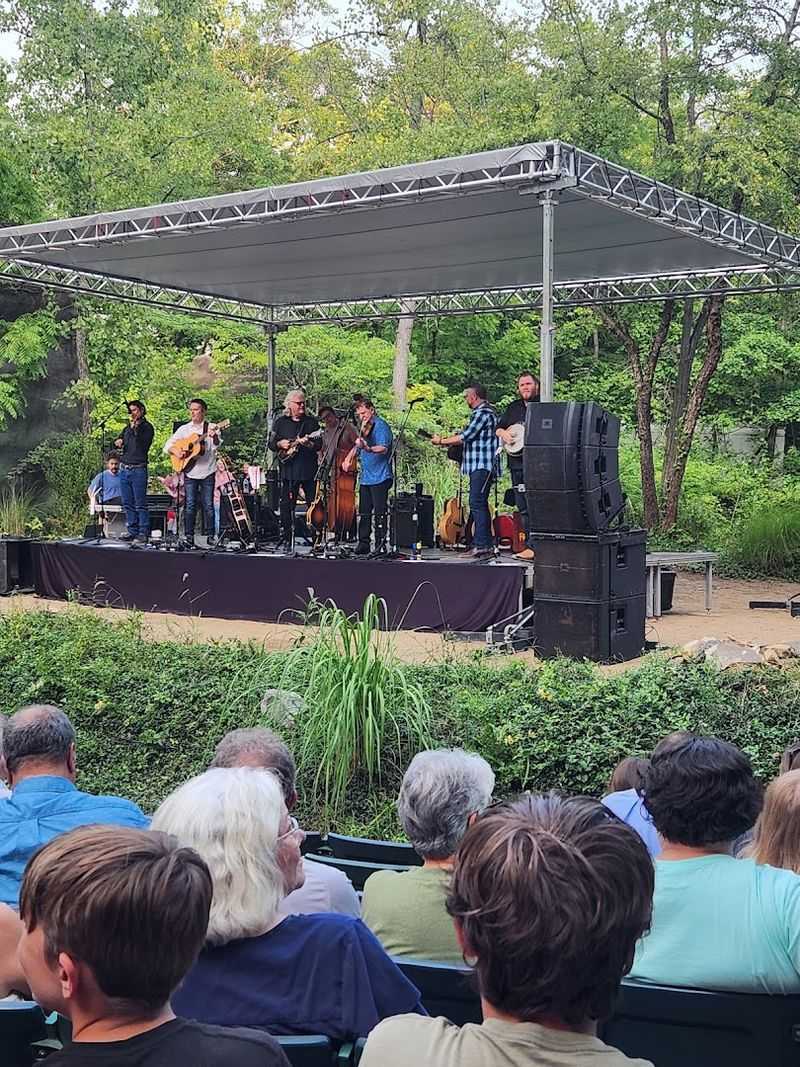 Concerts Under the Stars: Live Music at the Amphitheater