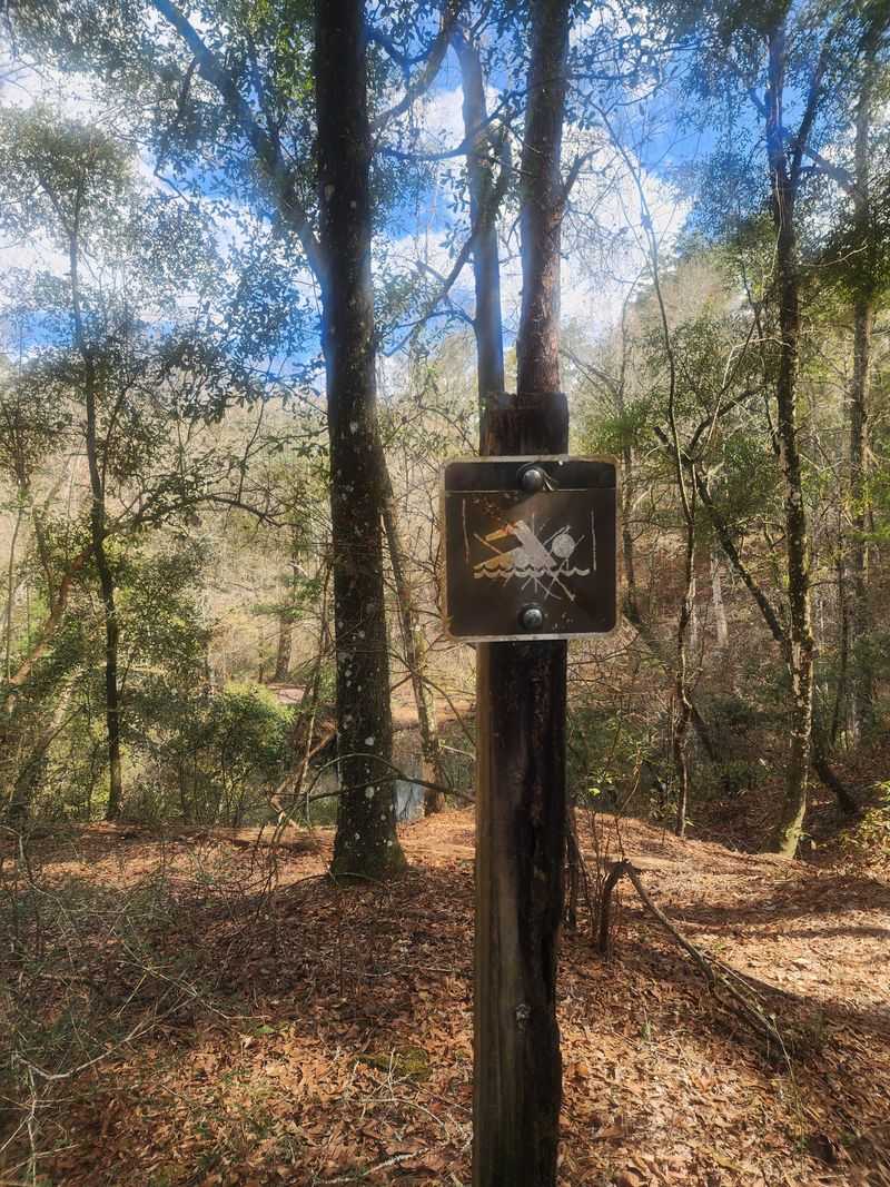 Natural Bridge And Lost Stream