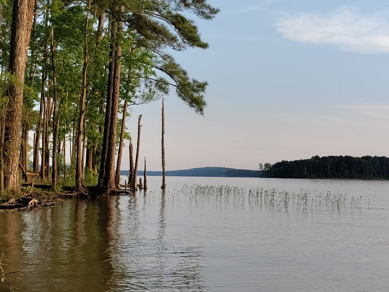 Jordan Lake State Recreation Area — Seasonal Concessions & Marina Services