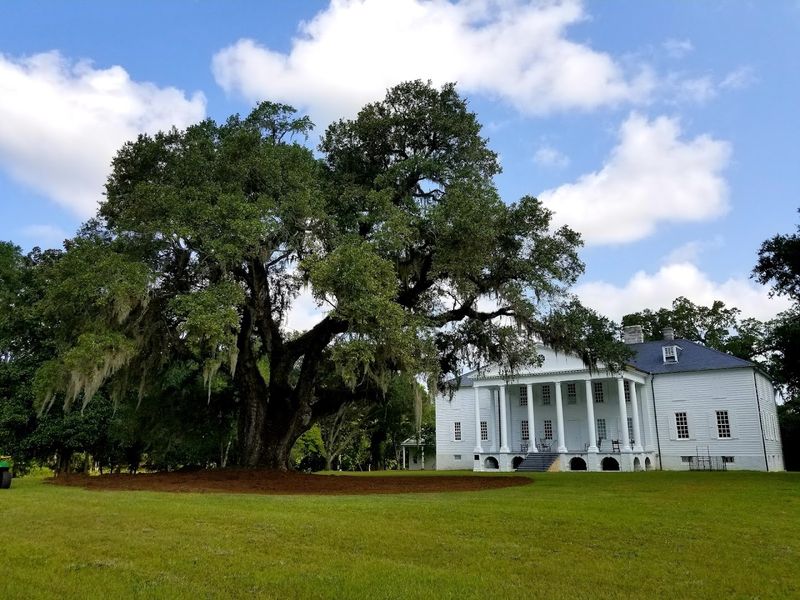 Hampton Plantation State Historic Site, McClellanville, SC Hampton Plantation State Historic Site, McClellanville, SC