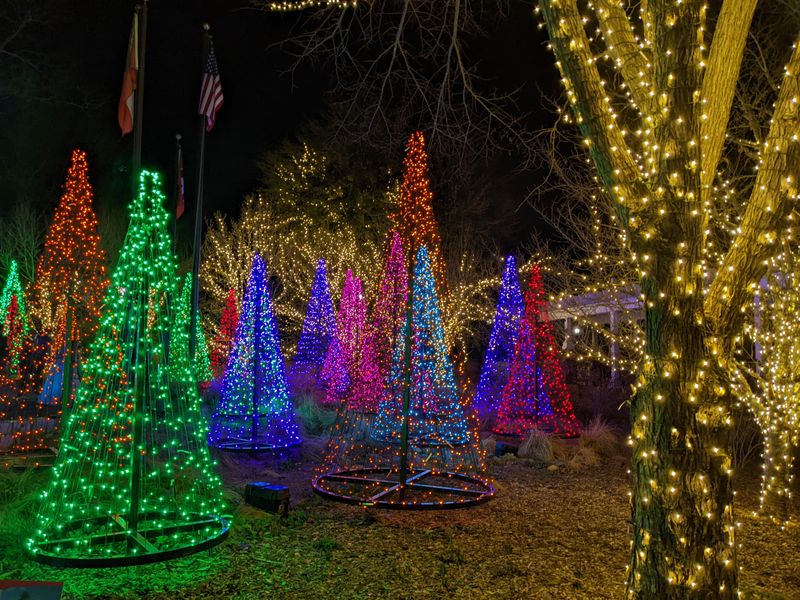 Athens — Winter WonderLights (State Botanical Garden of Georgia), 2450 S Milledge Ave, Athens