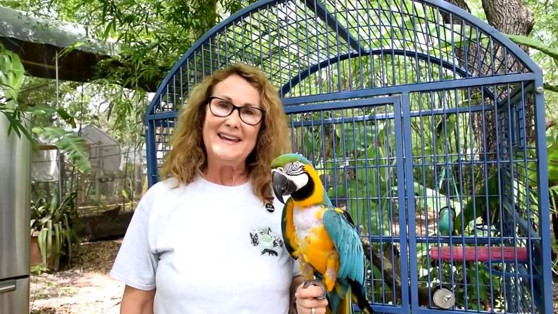 A Community Of Dedicated Volunteers