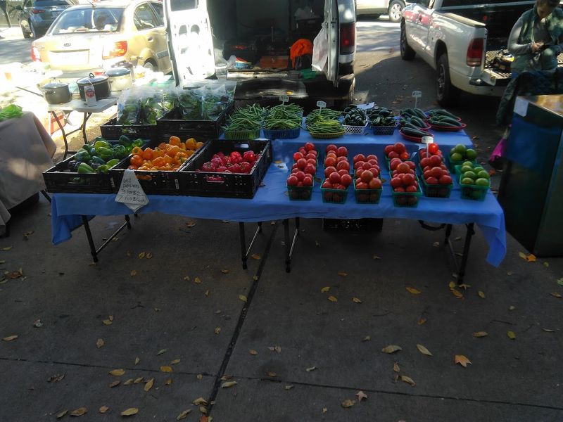 Local Vendors Adding A Touch Of Springtime Charm