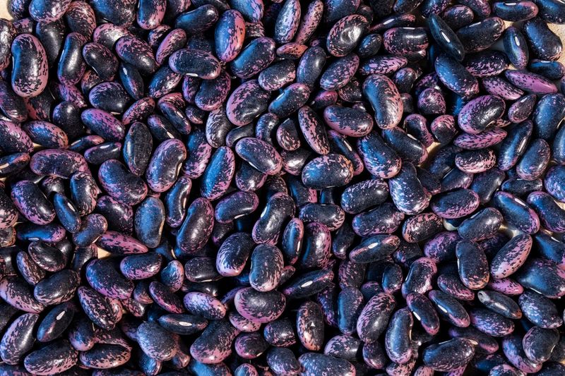 Heirloom Bean Treasures