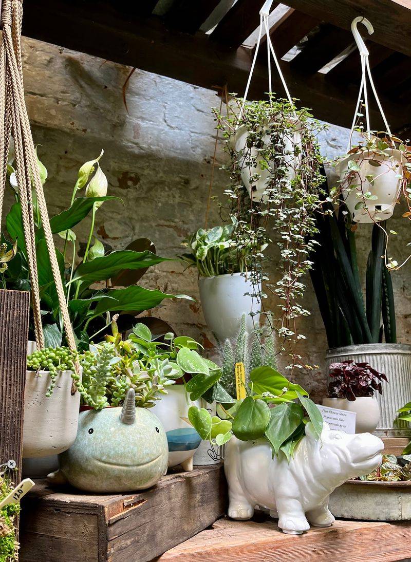 Handmade Treasures From A Printmaker's Garden Handmade Treasures From A Printmaker's Garden