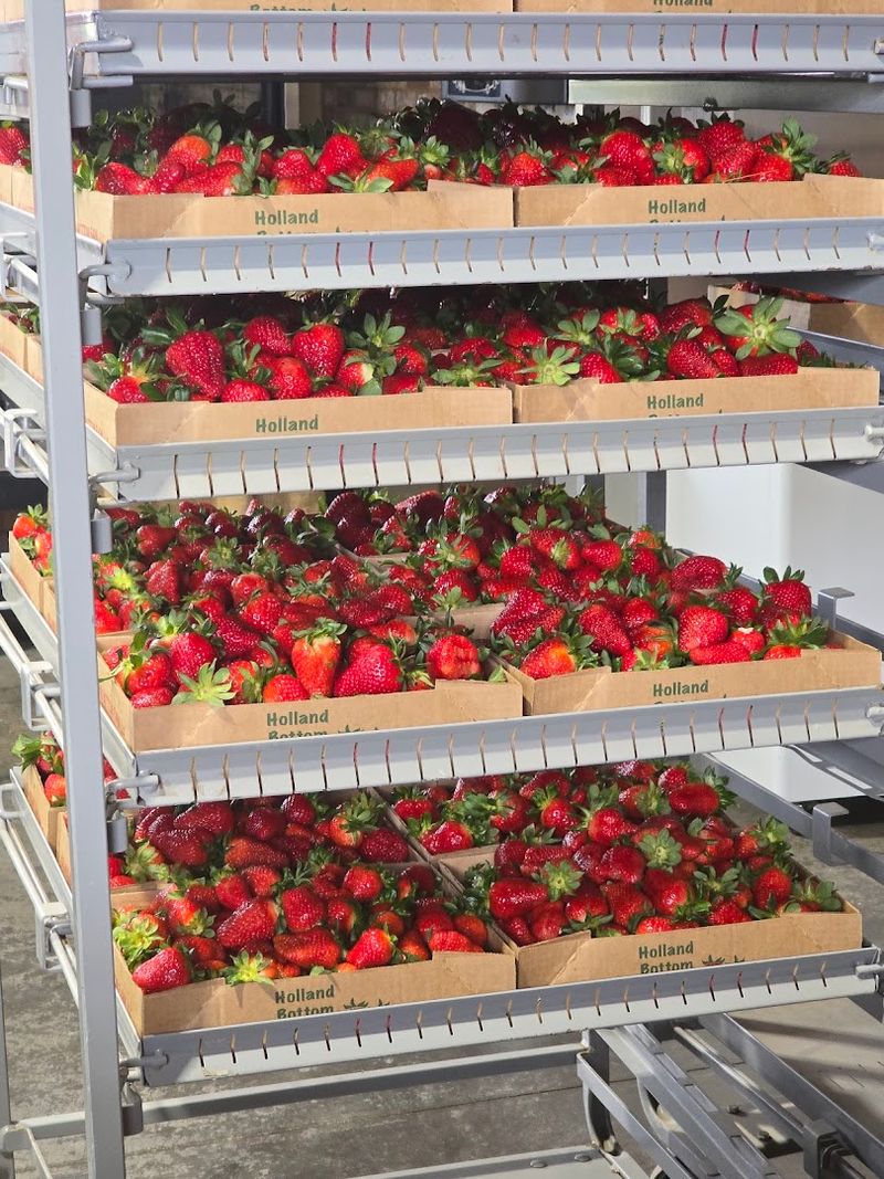 Local Favorite Known For Candy-Sweet Taste