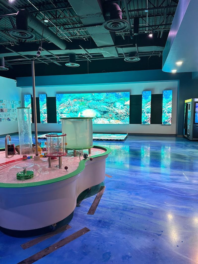 Hands-On Encounters Shape The Experience