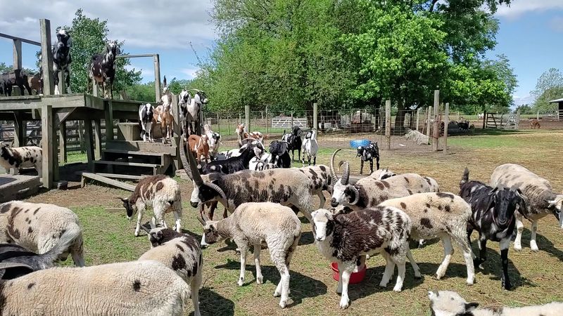 When To Go For The Best Experience