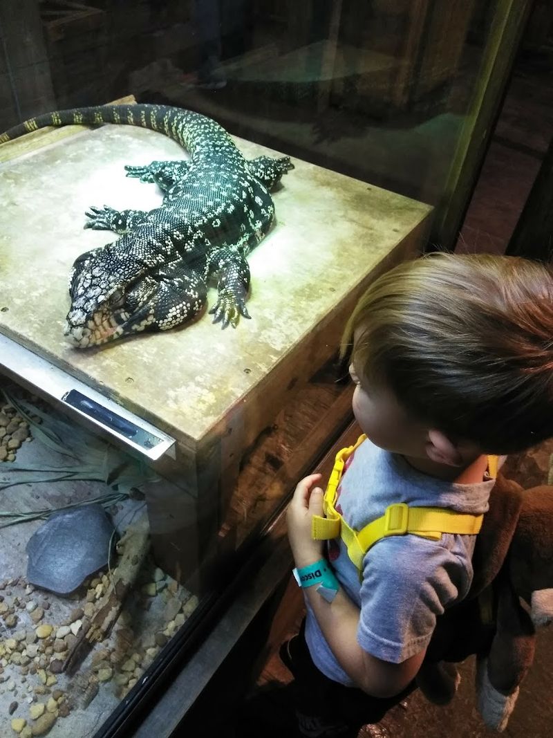 Hands-On Exhibits That Actually Teach Something Hands-On Exhibits That Actually Teach Something