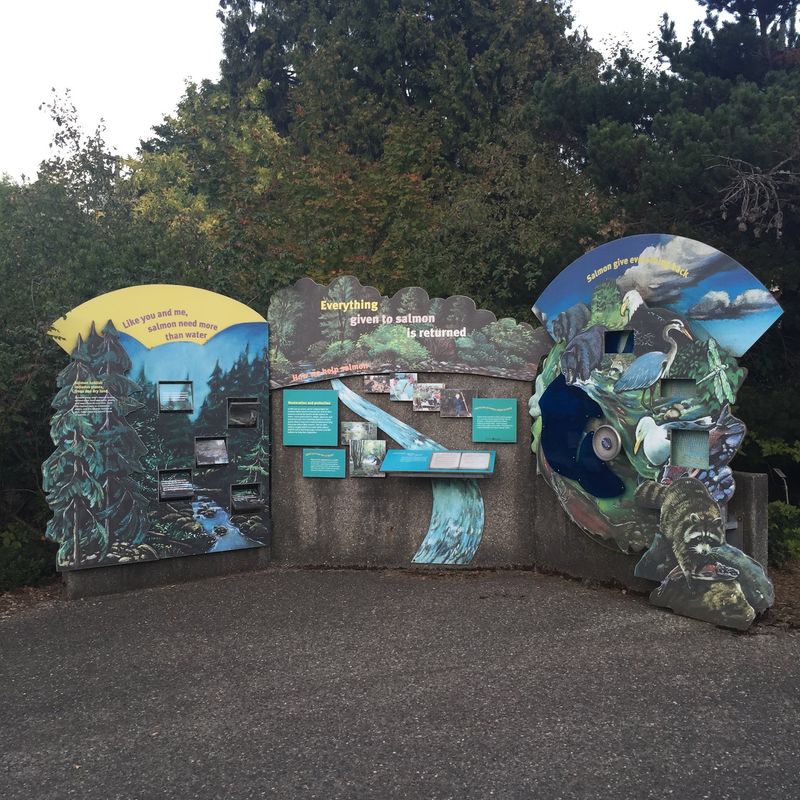 Hands-On Exhibits That Tell the Salmon Story