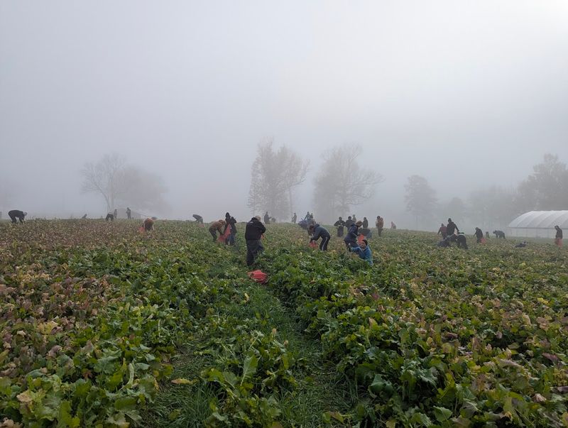 Connecting With Sustainable Agriculture Practices