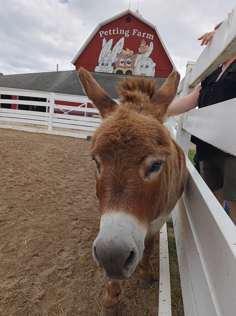 Birthday Parties And Groups