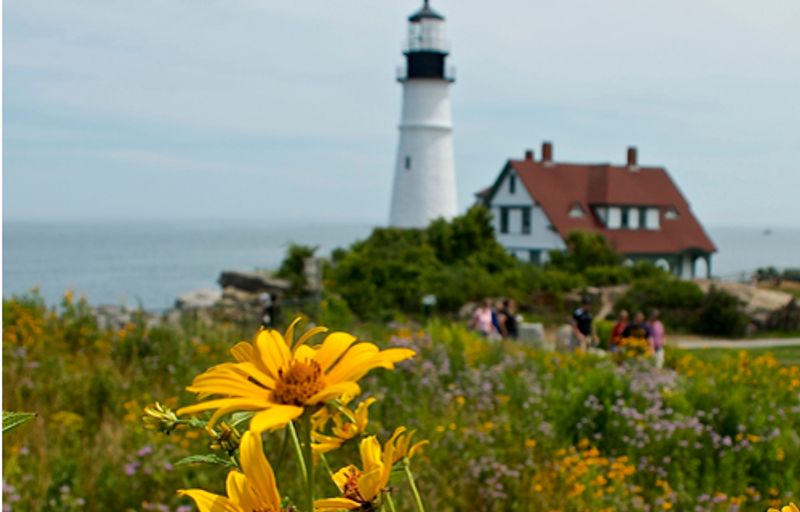 Handy Amenities And Visitor Tips Handy Amenities And Visitor Tips