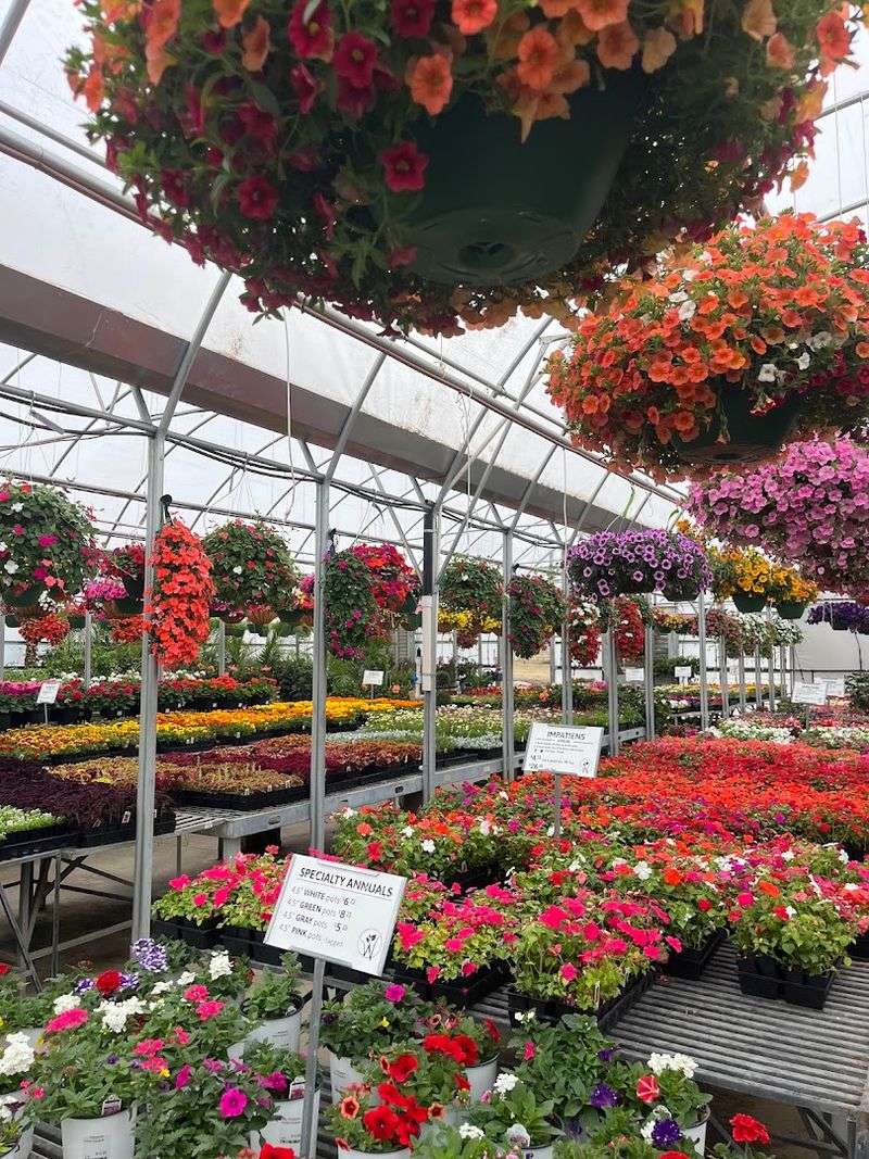 Hanging Baskets Overhead