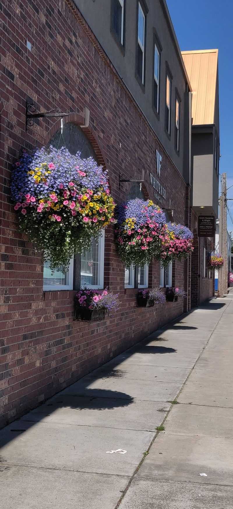 Hanging Baskets That Paint the Sidewalks