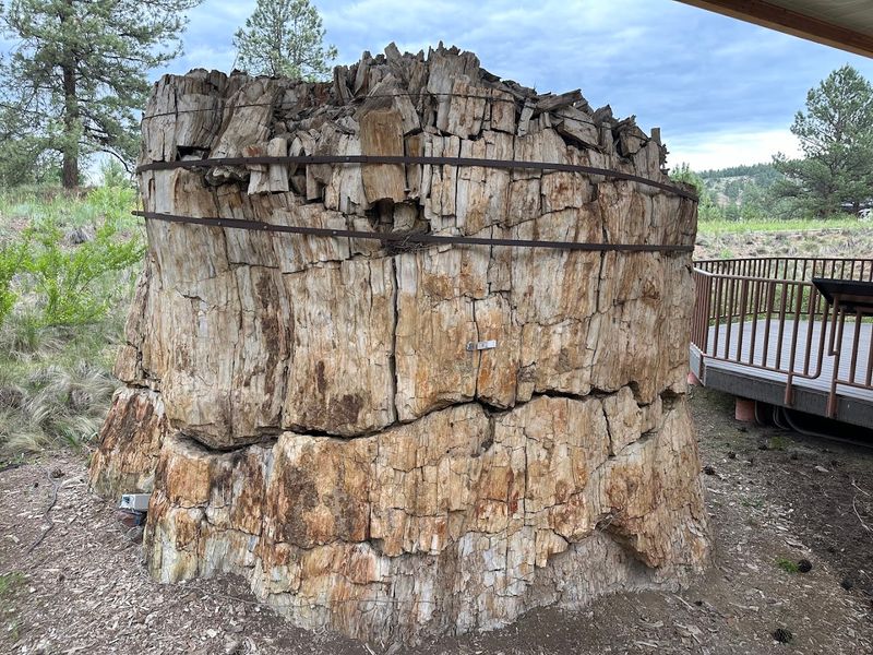 Florissant Fossil Beds National Monument, Florissant