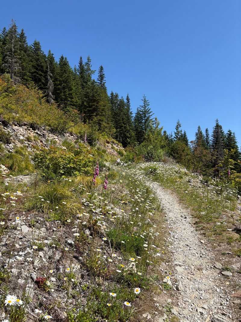 Hansen Creek Trailhead