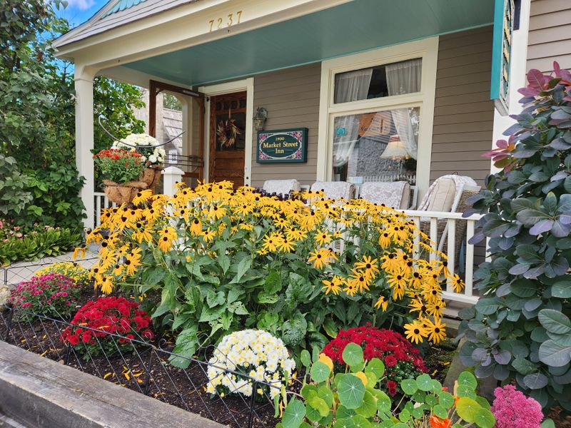 Lilac Season’s Soft Applause