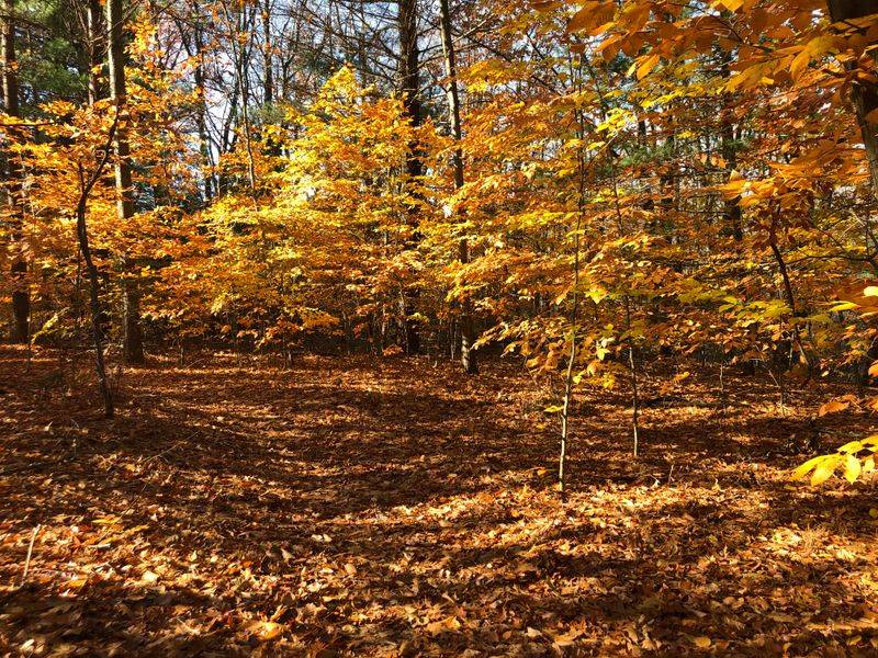 Port Sheldon — Near Port Sheldon Township, Ottawa County, Michigan