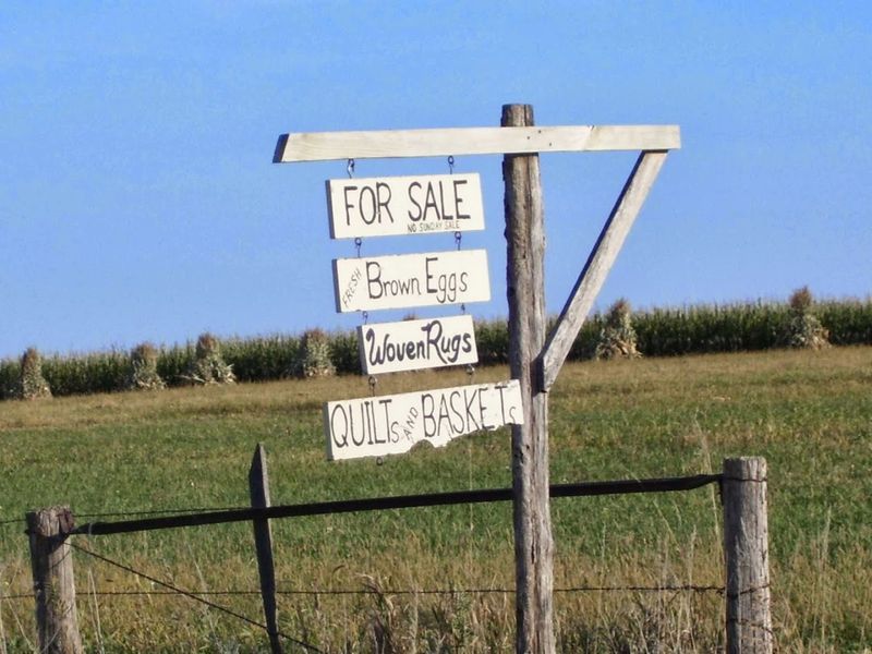 Harmony Amish Backroads Self-Guided Tour