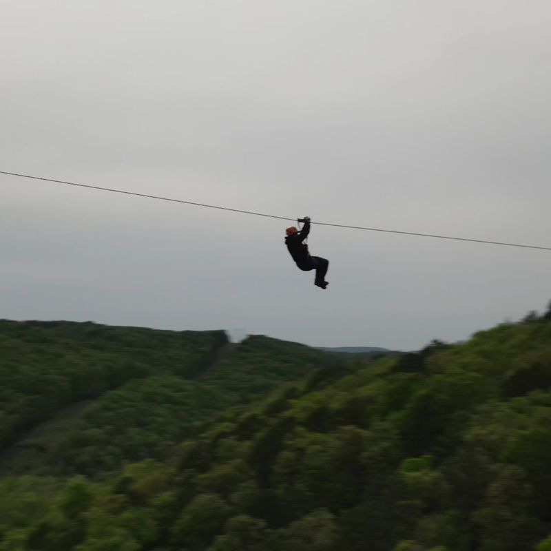 Step Into Open Air Above The Treetops
