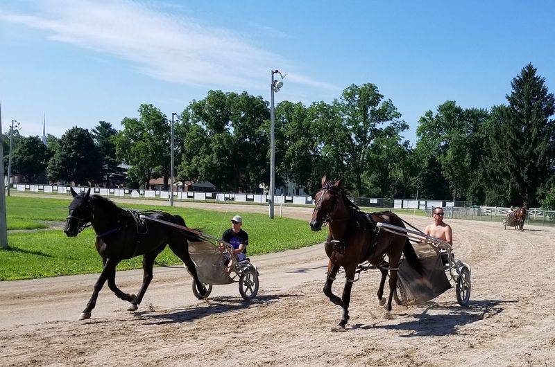 Harness Racing and the Track That Sets the Tone