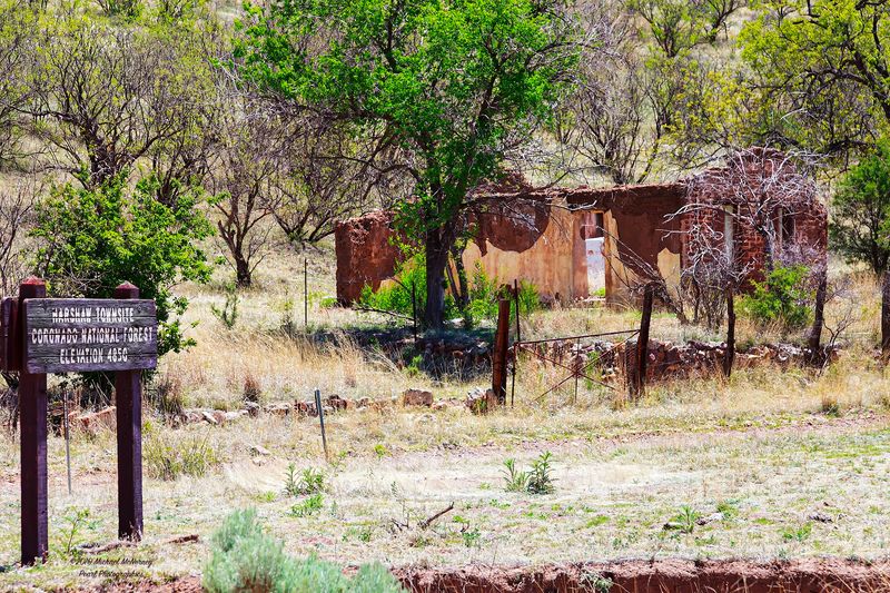 Harshaw Ghost Town, Near Patagonia