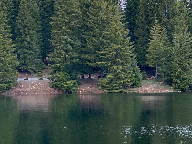 Pine Point Campground