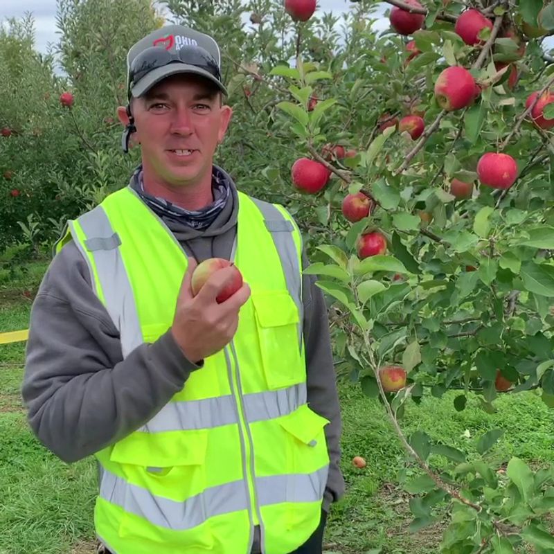 Hartford Orchards, Hartford