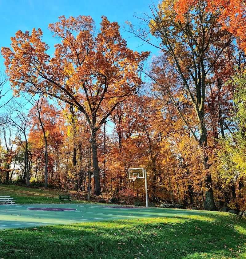 Odorisio Park, Wayne